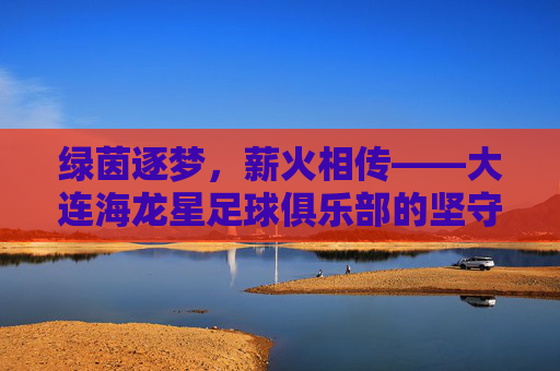 绿茵逐梦，薪火相传——大连海龙星足球俱乐部的坚守与荣光