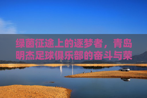 绿茵征途上的逐梦者，青岛明杰足球俱乐部的奋斗与荣耀