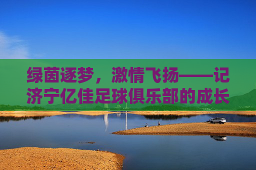 绿茵逐梦，激情飞扬——记济宁亿佳足球俱乐部的成长与情怀
