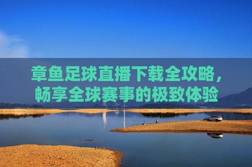 章鱼足球直播下载全攻略，畅享全球赛事的极致体验