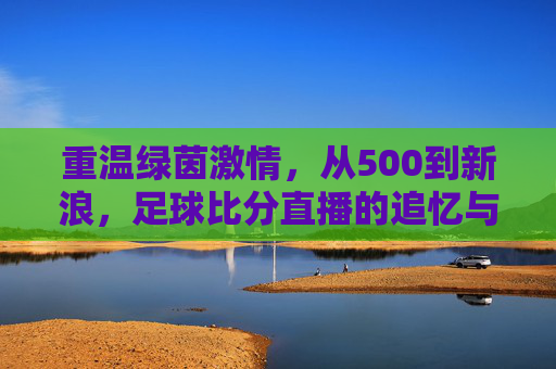 重温绿茵激情，从500到新浪，足球比分直播的追忆与指南