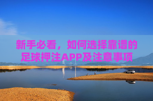新手必看，如何选择靠谱的足球押注APP及注意事项