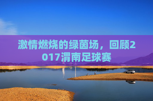 激情燃烧的绿茵场，回顾2017渭南足球赛