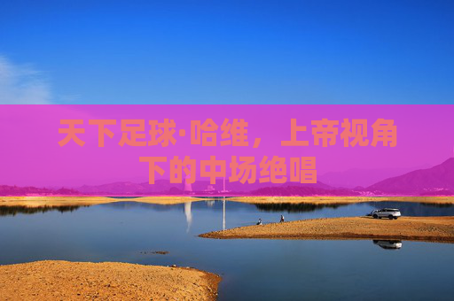 天下足球·哈维，上帝视角下的中场绝唱