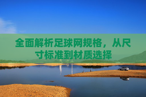 全面解析足球网规格，从尺寸标准到材质选择