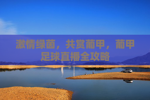 激情绿茵，共赏葡甲，葡甲足球直播全攻略
