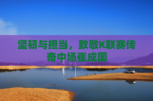 坚韧与担当，致敬K联赛传奇中场崔成国