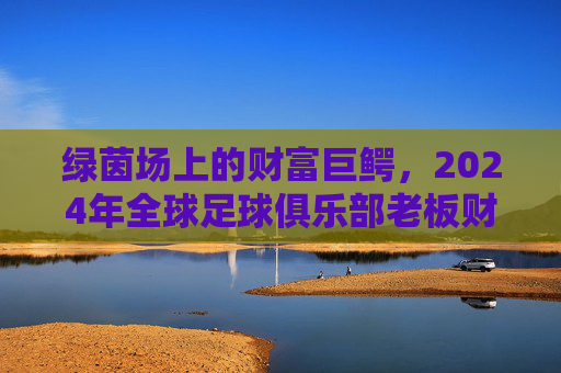 绿茵场上的财富巨鳄，2024年全球足球俱乐部老板财富与影响力排名