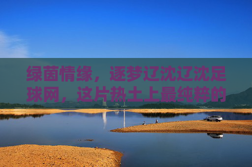 绿茵情缘，逐梦辽沈辽沈足球网，这片热土上最纯粹的足球声音