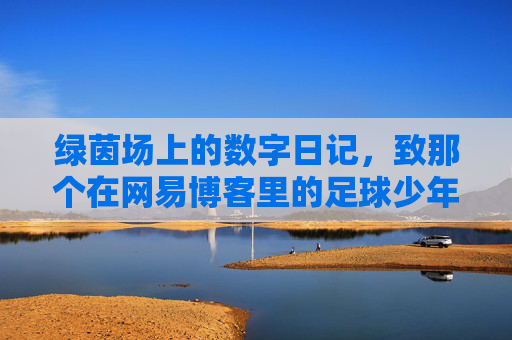 绿茵场上的数字日记，致那个在网易博客里的足球少年