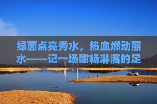 绿茵点亮秀水，热血燃动丽水——记一场酣畅淋漓的足球比赛