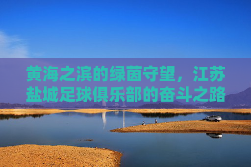 黄海之滨的绿茵守望，江苏盐城足球俱乐部的奋斗之路