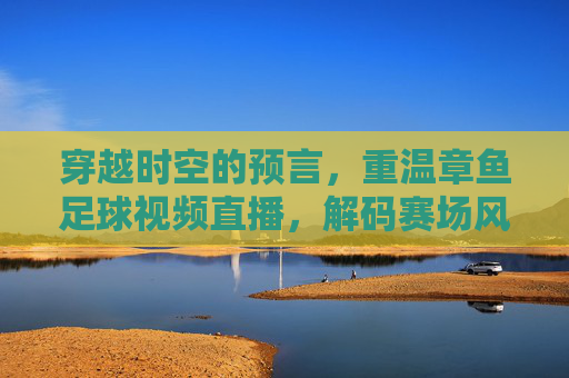穿越时空的预言，重温章鱼足球视频直播，解码赛场风云与传奇