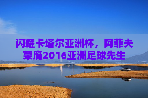 闪耀卡塔尔亚洲杯，阿菲夫荣膺2016亚洲足球先生