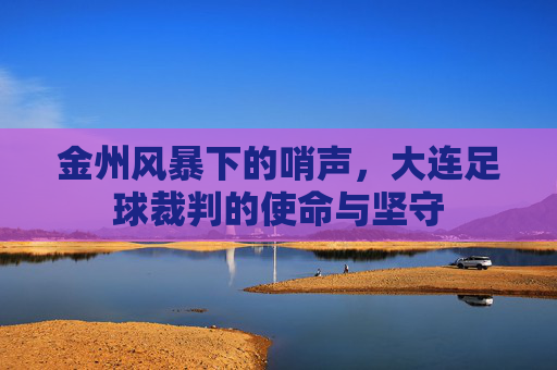 金州风暴下的哨声，大连足球裁判的使命与坚守
