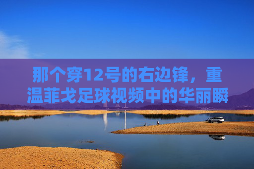 那个穿12号的右边锋，重温菲戈足球视频中的华丽瞬间