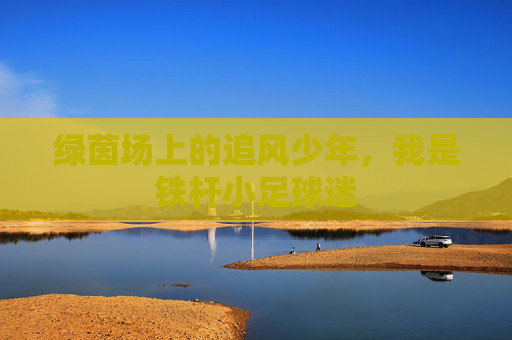 绿茵场上的追风少年，我是铁杆小足球迷