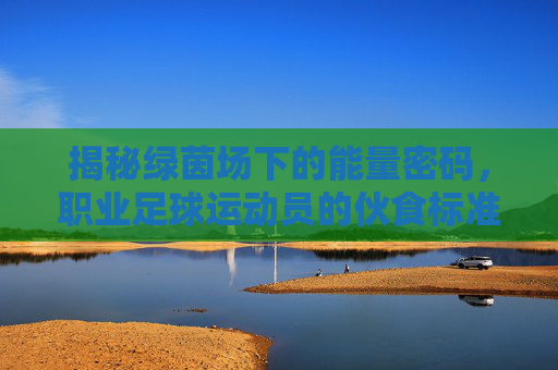 揭秘绿茵场下的能量密码，职业足球运动员的伙食标准