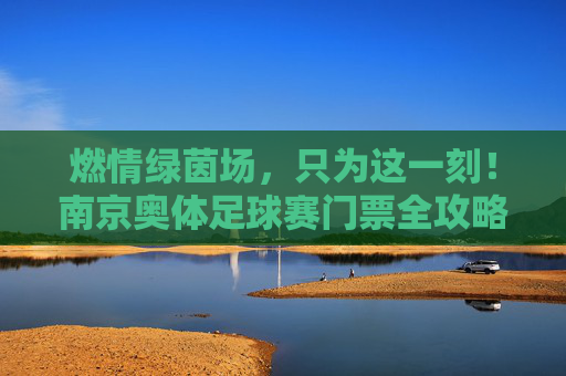 燃情绿茵场，只为这一刻！南京奥体足球赛门票全攻略与观赛指南