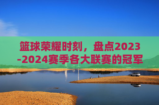 篮球荣耀时刻，盘点2023-2024赛季各大联赛的冠军归属