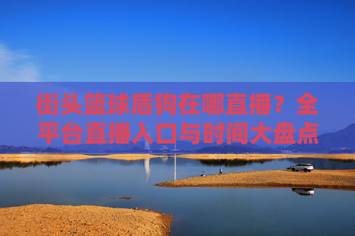 街头篮球盾狗在哪直播？全平台直播入口与时间大盘点
