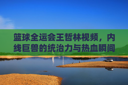 篮球全运会王哲林视频，内线巨兽的统治力与热血瞬间