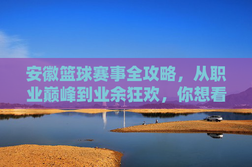 安徽篮球赛事全攻略，从职业巅峰到业余狂欢，你想看的都在这里