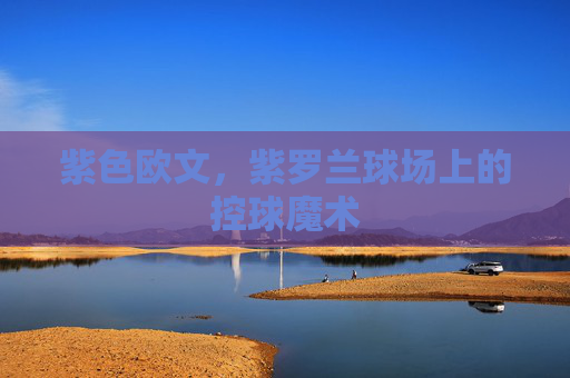 紫色欧文，紫罗兰球场上的控球魔术