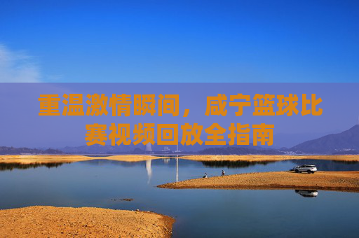 重温激情瞬间，咸宁篮球比赛视频回放全指南