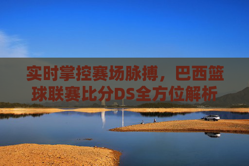实时掌控赛场脉搏，巴西篮球联赛比分DS全方位解析