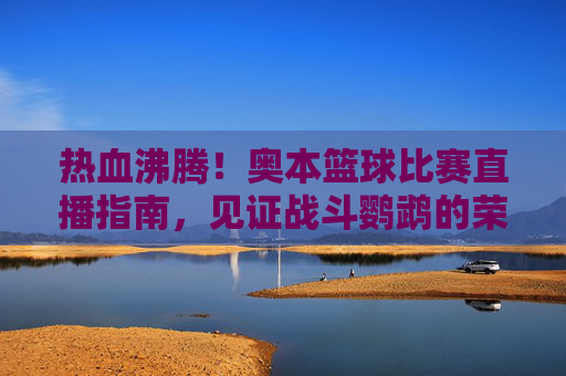 热血沸腾！奥本篮球比赛直播指南，见证战斗鹦鹉的荣耀时刻