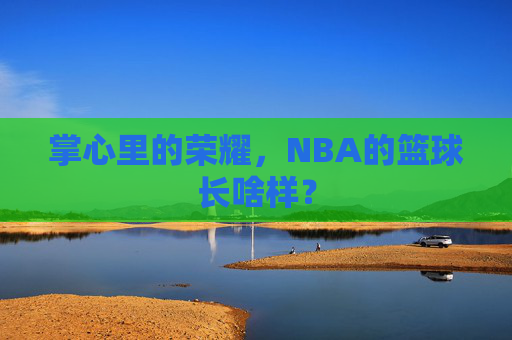 掌心里的荣耀，NBA的篮球长啥样？
