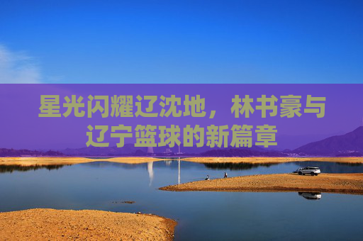 星光闪耀辽沈地，林书豪与辽宁篮球的新篇章