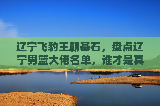 辽宁飞豹王朝基石，盘点辽宁男篮大佬名单，谁才是真正的精神图腾？