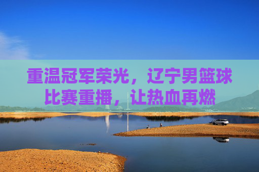 重温冠军荣光，辽宁男篮球比赛重播，让热血再燃