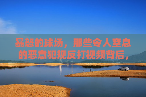 暴怒的球场，那些令人窒息的恶意犯规反打视频背后，是尊严还是失控？