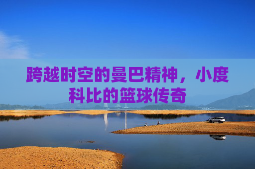 跨越时空的曼巴精神，小度科比的篮球传奇