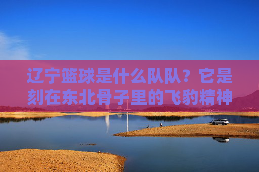 辽宁篮球是什么队队？它是刻在东北骨子里的飞豹精神