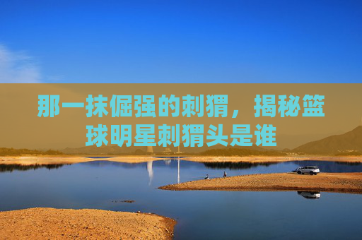 那一抹倔强的刺猬，揭秘篮球明星刺猬头是谁