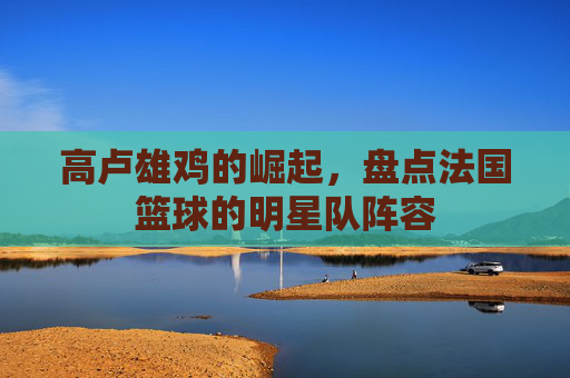 高卢雄鸡的崛起，盘点法国篮球的明星队阵容