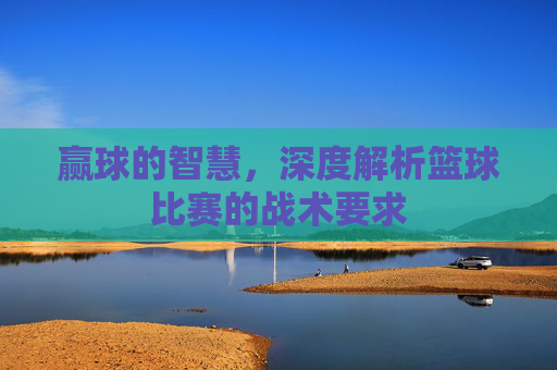 赢球的智慧，深度解析篮球比赛的战术要求