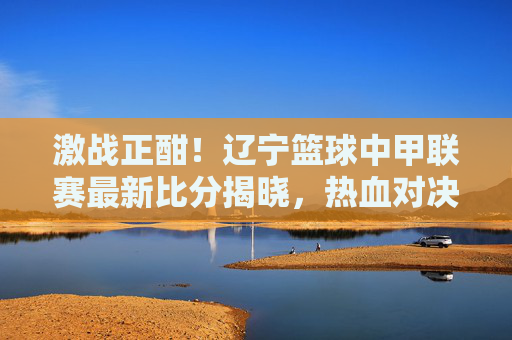 激战正酣！辽宁篮球中甲联赛最新比分揭晓，热血对决引爆赛场