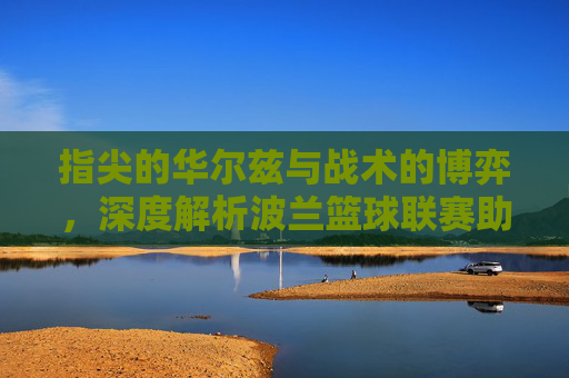 指尖的华尔兹与战术的博弈，深度解析波兰篮球联赛助攻集锦