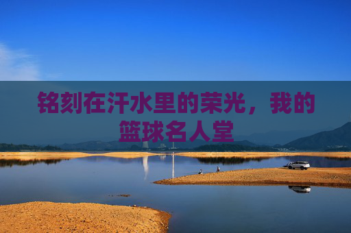 铭刻在汗水里的荣光，我的篮球名人堂