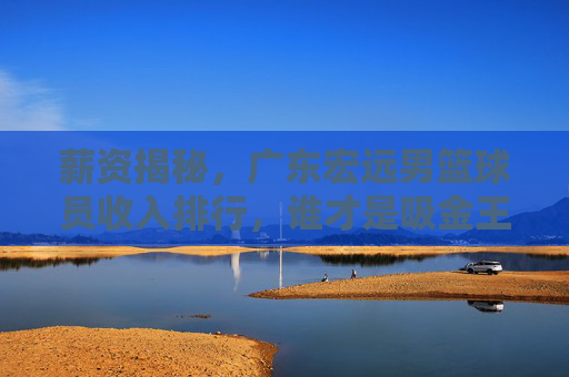 薪资揭秘，广东宏远男篮球员收入排行，谁才是吸金王？