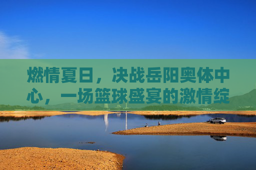 燃情夏日，决战岳阳奥体中心，一场篮球盛宴的激情绽放