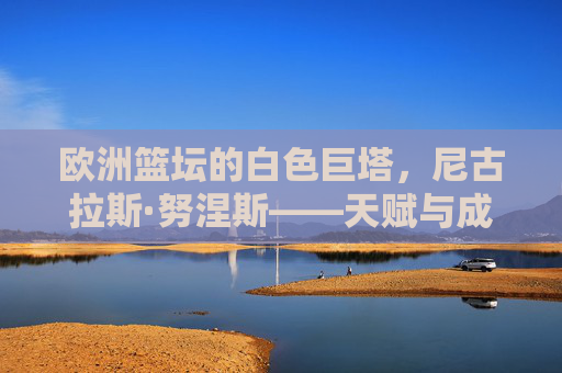 欧洲篮坛的白色巨塔，尼古拉斯·努涅斯——天赋与成长的完美协奏