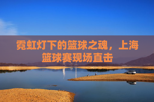 霓虹灯下的篮球之魂，上海篮球赛现场直击