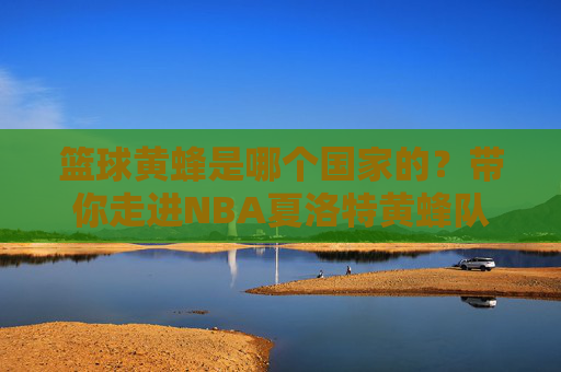 篮球黄蜂是哪个国家的？带你走进NBA夏洛特黄蜂队