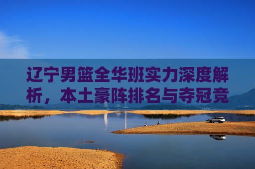 辽宁男篮全华班实力深度解析，本土豪阵排名与夺冠竞争力